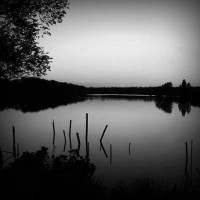 /album/la-nobedad-pompeu-fabra/photolia-b01-jpg/